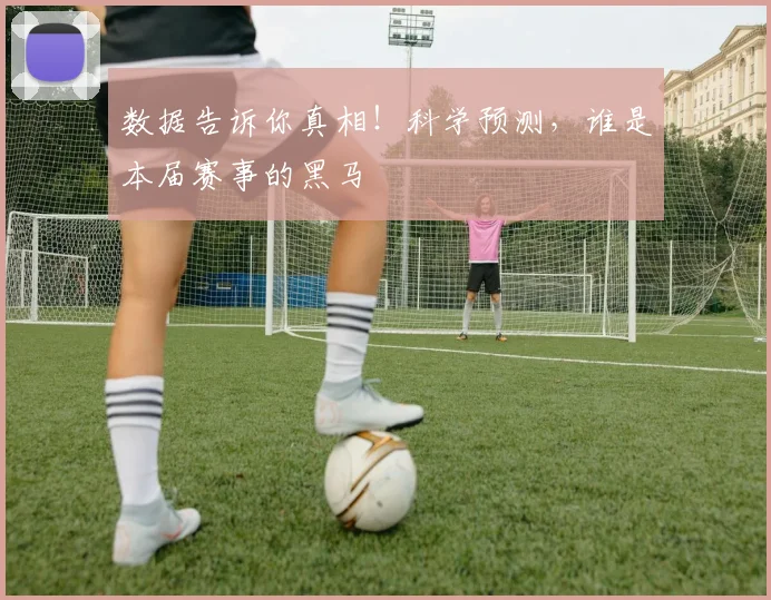 数据告诉你真相！科学预测，谁是本届赛事的黑马