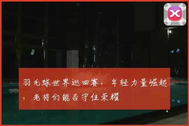 羽毛球世界巡回赛，年轻力量崛起，老将们能否守住荣耀