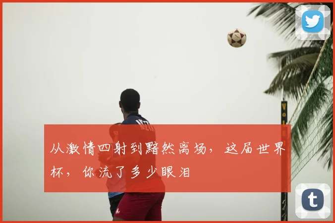 从激情四射到黯然离场,这届世界杯,你流了多少眼泪