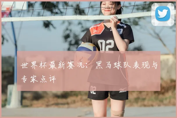 世界杯最新赛况:黑马球队表现与专家点评